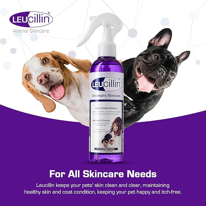 Leucillin Natural Antiseptic Spray - Antibacterial, Antifungal & Antiviral for All Animals (150ml)