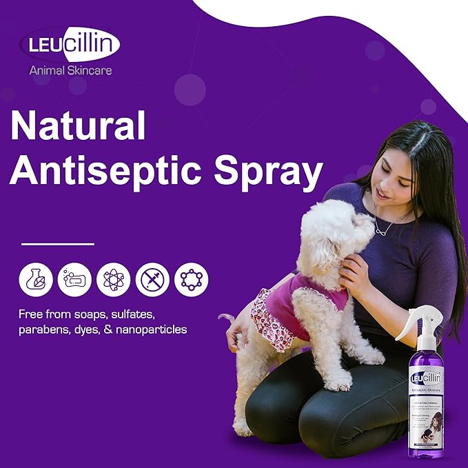 Leucillin Natural Antiseptic Spray - Antibacterial, Antifungal & Antiviral for All Animals (150ml)