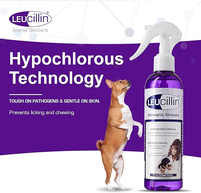 Leucillin Natural Antiseptic Spray - Antibacterial, Antifungal & Antiviral for All Animals (150ml)