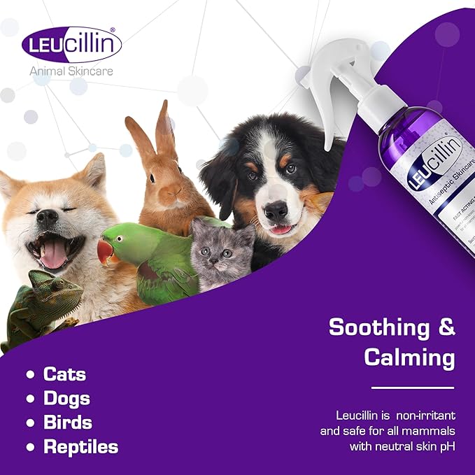 Leucillin Natural Antiseptic Spray - Antibacterial, Antifungal & Antiviral for All Animals (150ml)